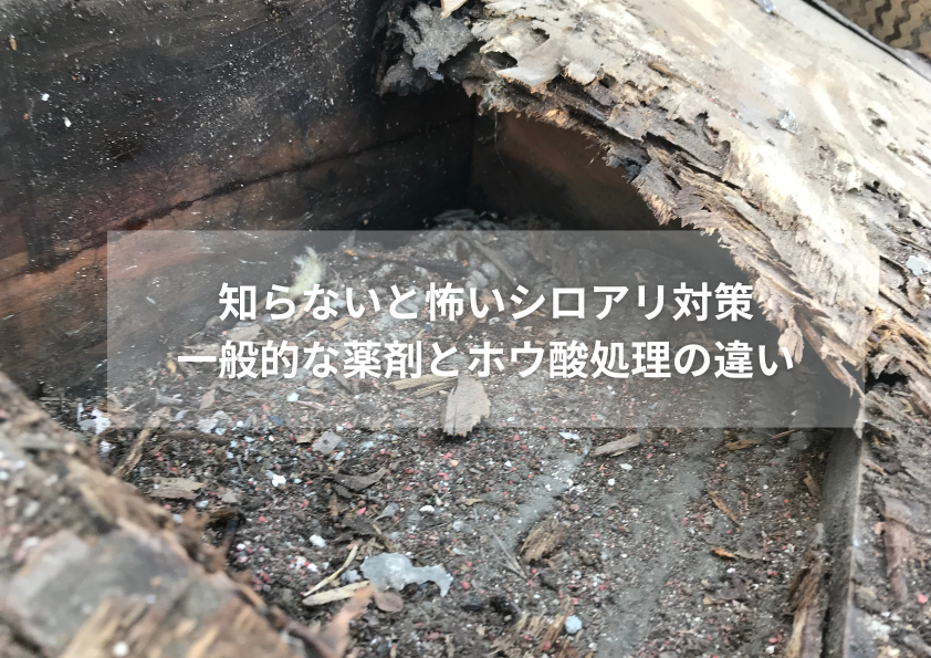 シロアリ被害で内部が空洞化した木材の断面と腐食の様子